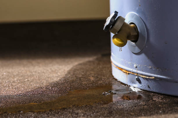 Best Professional water damage repair  in Celina, TX