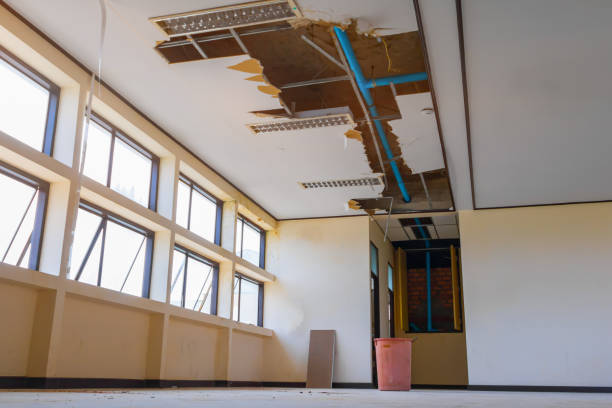 Best Water damage restoration near me  in Celina, TX
