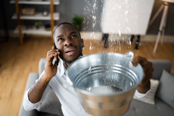 Best Ceiling water damage repair  in Celina, TX