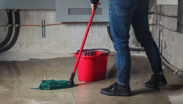 Best Local water damage restoration  in Celina, TX