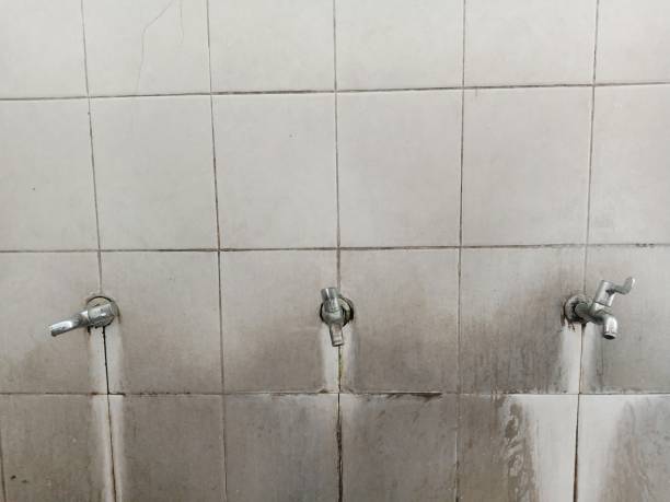 Best Emergency water extraction  in Celina, TX