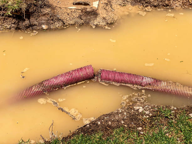 Best Water damage restoration cost  in Celina, TX