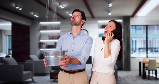 Best Basement water damage restoration  in Celina, TX